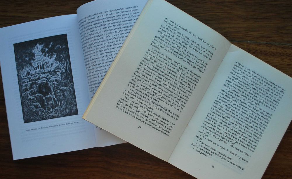 O Livro da Selva e Segundo Livro da Selva de Rudyard Kipling