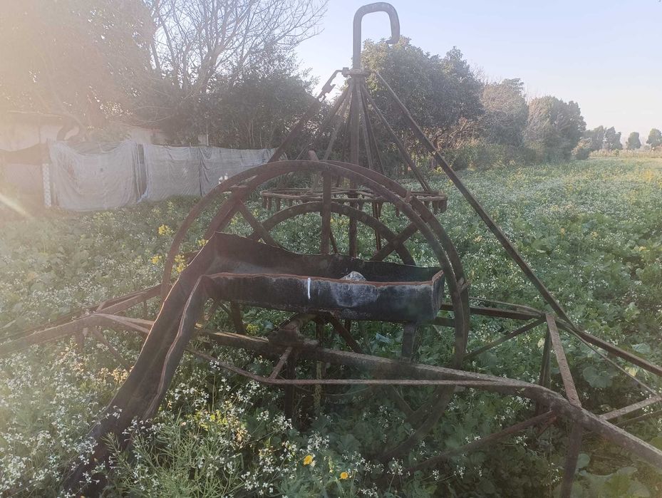 Nora -  Engenho Agua Poço