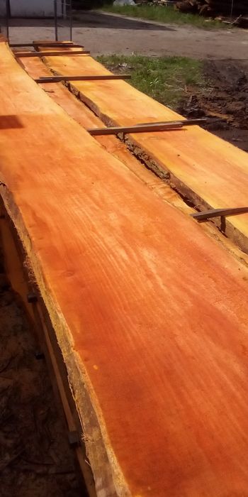 Tarcica olchowa 50,30,25i inne liściaste