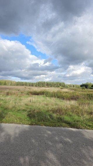 Sprzedam działkę budowlaną o pow. 1.5 ha w miejscowości Krępa