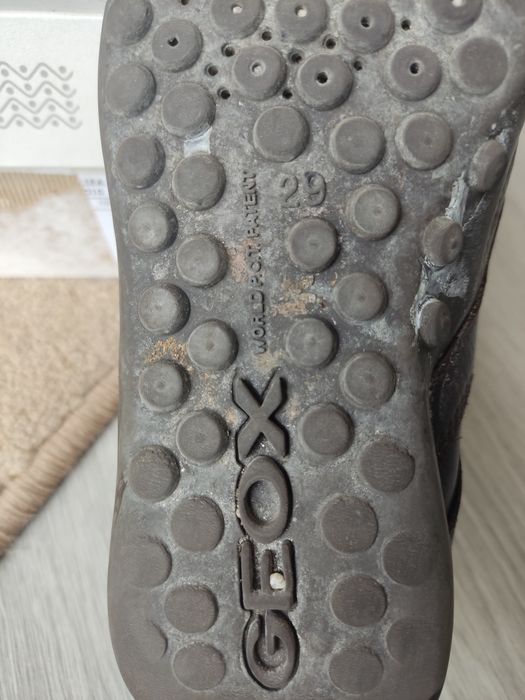 Sapatos Geox menino 29