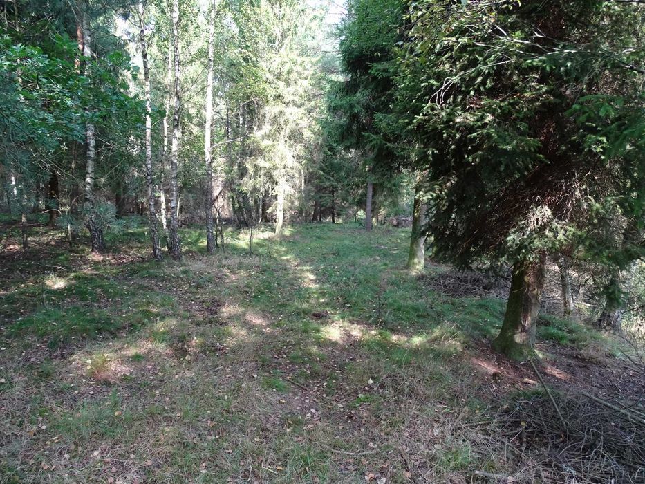 sprzedam las 3,47 ha
