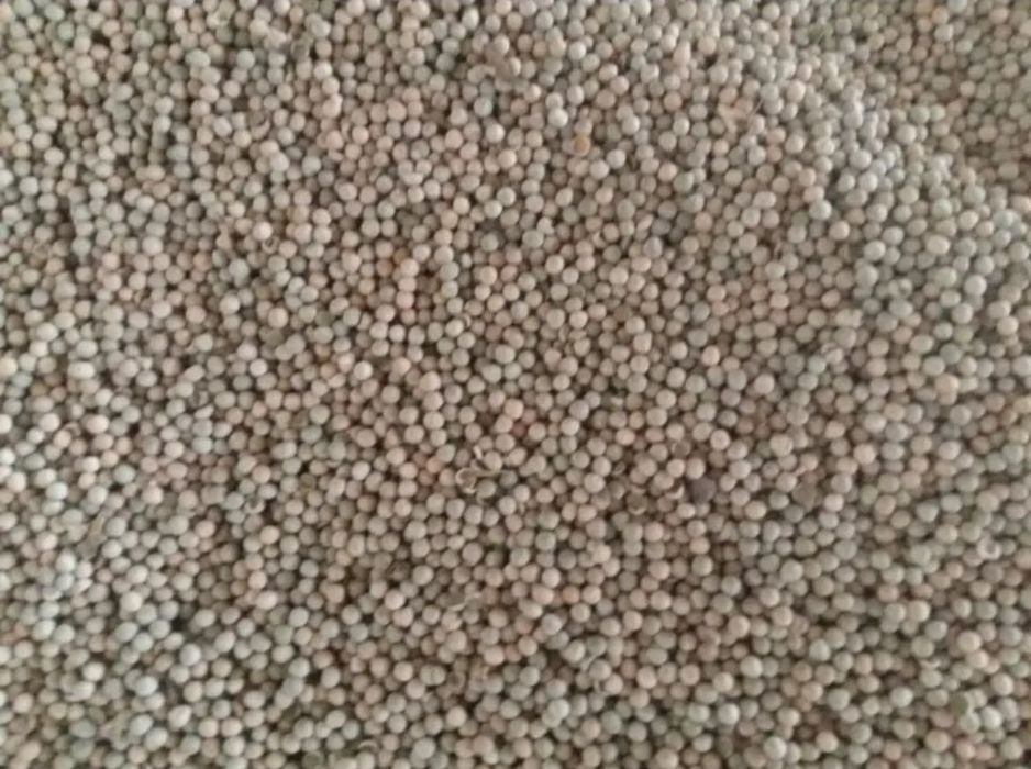 Пшеница, ячмень, овёс, жмых подсол/сои, отруби, прочие корма