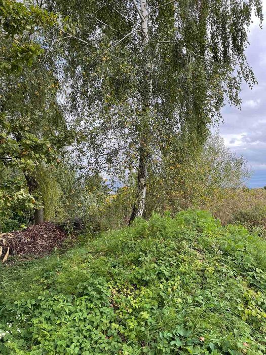 Земельна ділянка