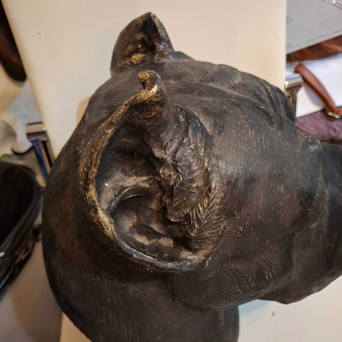 Cane corso rzeźbiona głowa