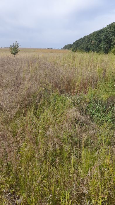 Продаж земельної ділянки у с.Трушки