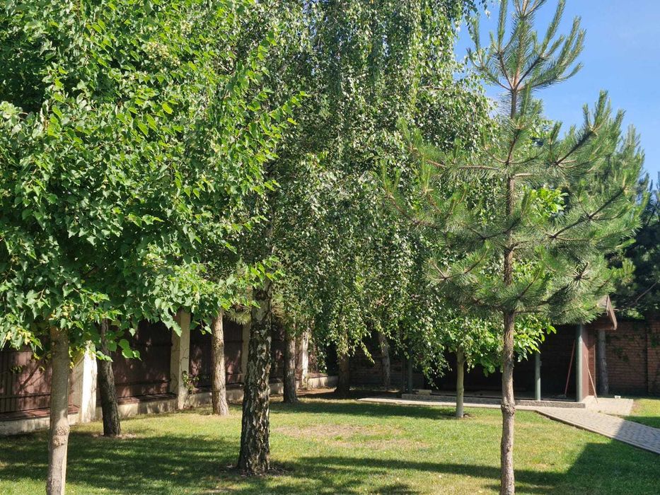 ВІД ВЛАСНИКА! Продаж житлового будинку
