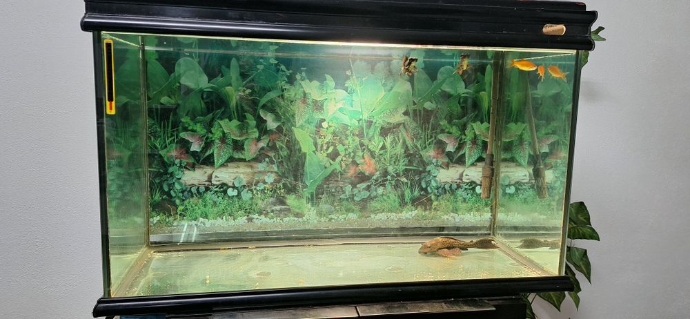 Aquario de 200 litros