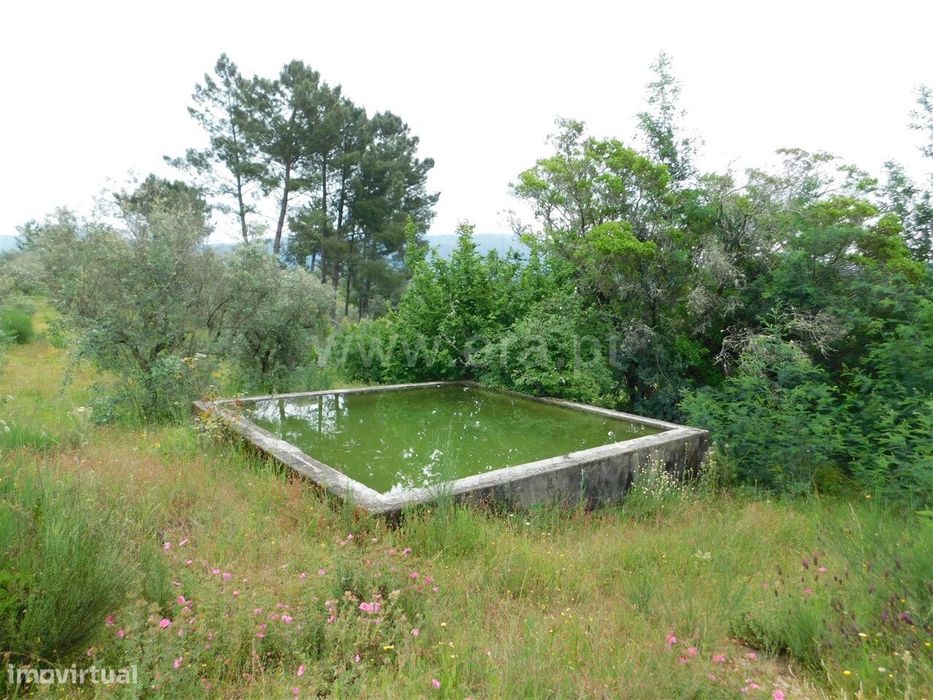 Quinta / Seia, Carragozela e Várzea de Meruge