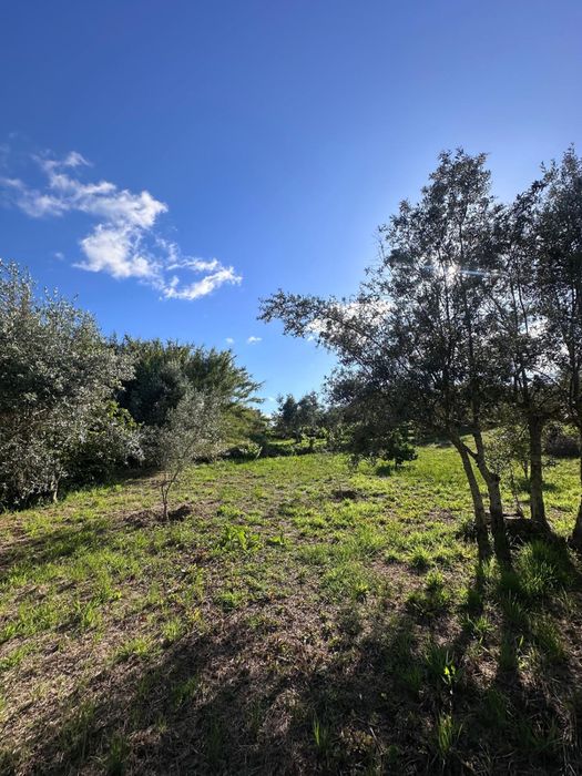 Garagem com 1.200 m² de Terreno e Furo em Carvalhal, Abrantes | Potencial para transformação em Moradia