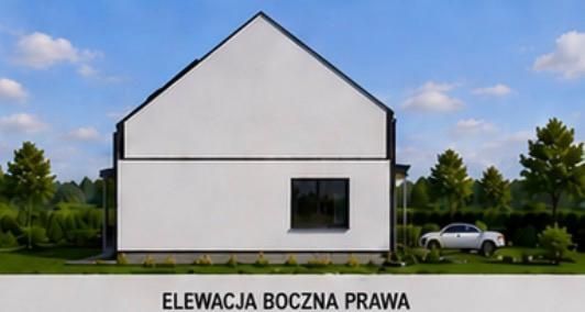Dom wolnostojący  110 m