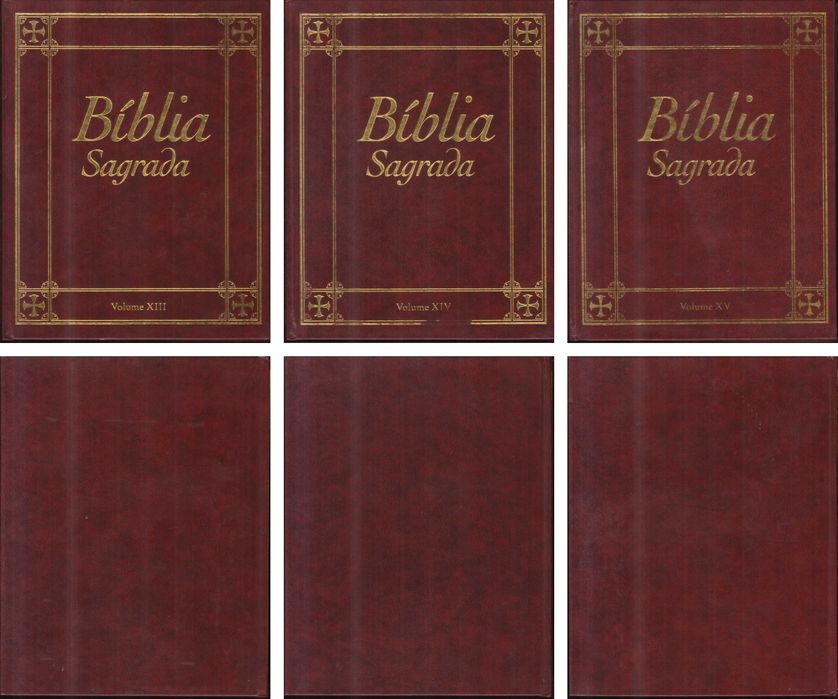 Bíblia Sagrada (2005) – 15 Volumes