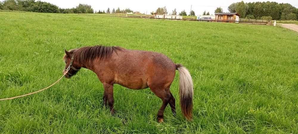 Domek Zacisze otulone słońcem