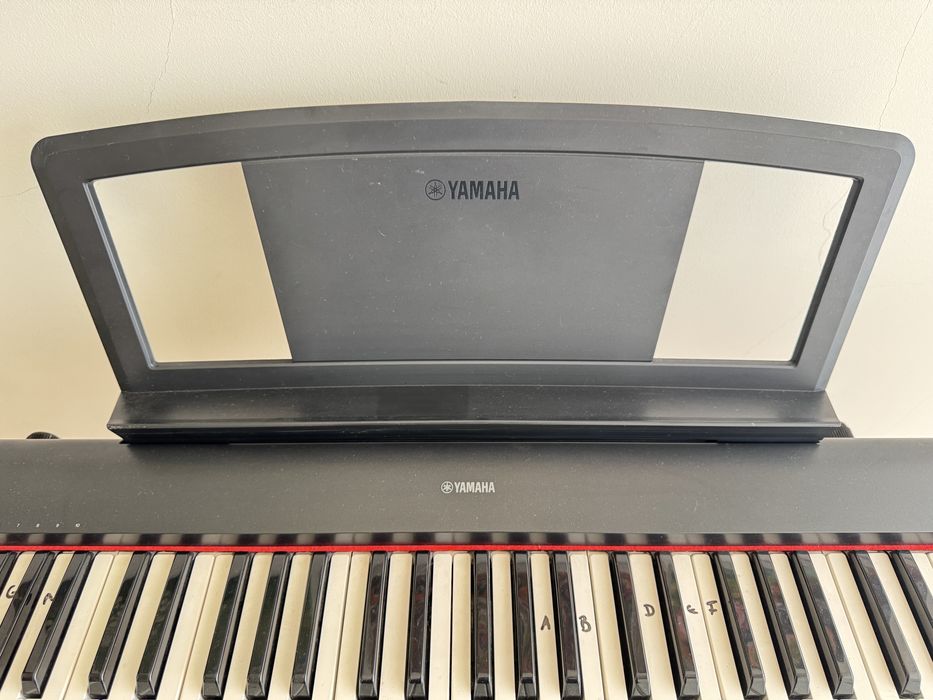 Teclado yamaha piaggero NP-31