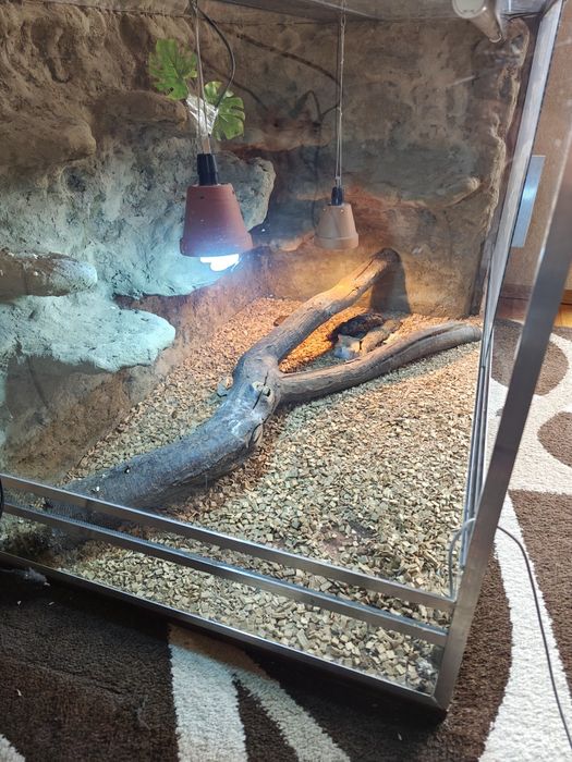 Duże terrarium 125x82x82