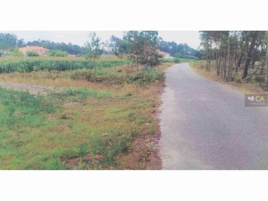 Terreno Rustico - Vale Saramago - Seixo (Metade Do Artigo)