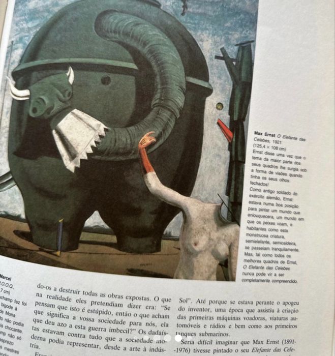 Livro a arte VERBO e como só a verbo sabia fazer livros assim
