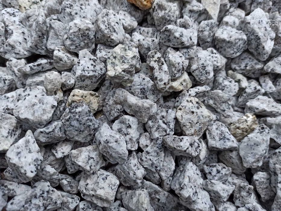 Grys Granitowy Dalmatyńczyk Kamień szary biała marianna bazalt kora