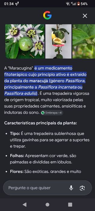 Venda planta do Maracujim