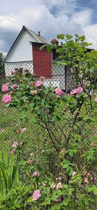 Невеличка,бюджетна дачка. Переоформлення через кооператив.