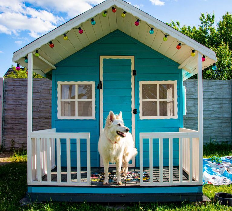 Hotel dla psów KingDom - opieka 24h