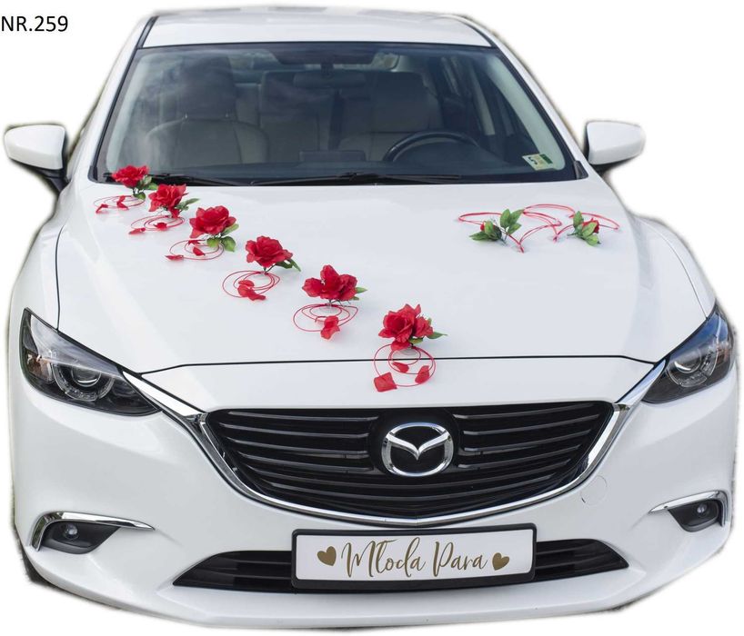 BEZPIECZNA dekoracja na samochód montaż na PRZYSSAWKACH Nr 259