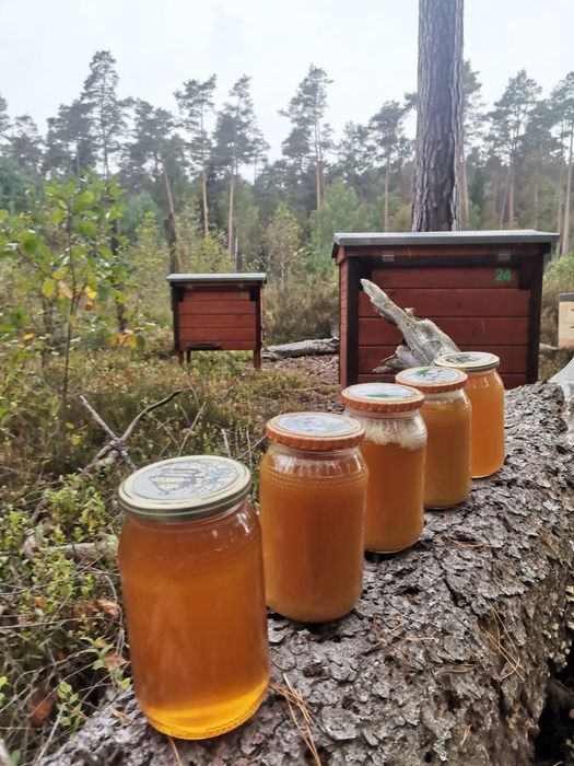 Sprzedam zasiedlone ule warszawskie poszerzane