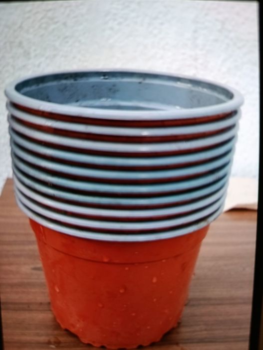 Vasos para plantas