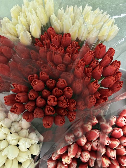 Доставка квітів Черкаси,тюльпани Черкаси