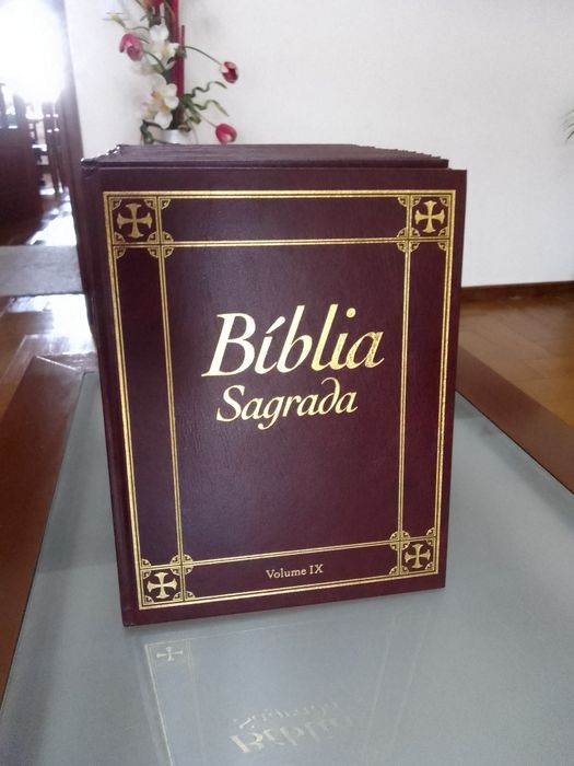 Bíblia Sagrada em 12 volumes