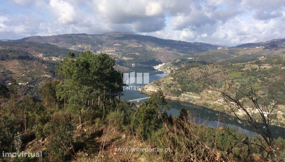 Venda Terreno, Oliveira do Douro, Cinfães