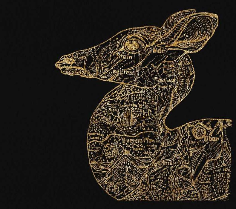 Cd Album Deer's Delusions Stop Klatka Filharmonia