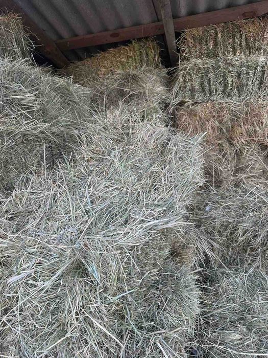 сіно в тюках лугове