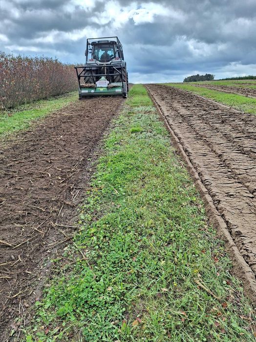 mulczowanie terenu mulczer lesny mulczer wglebny karczowanie
