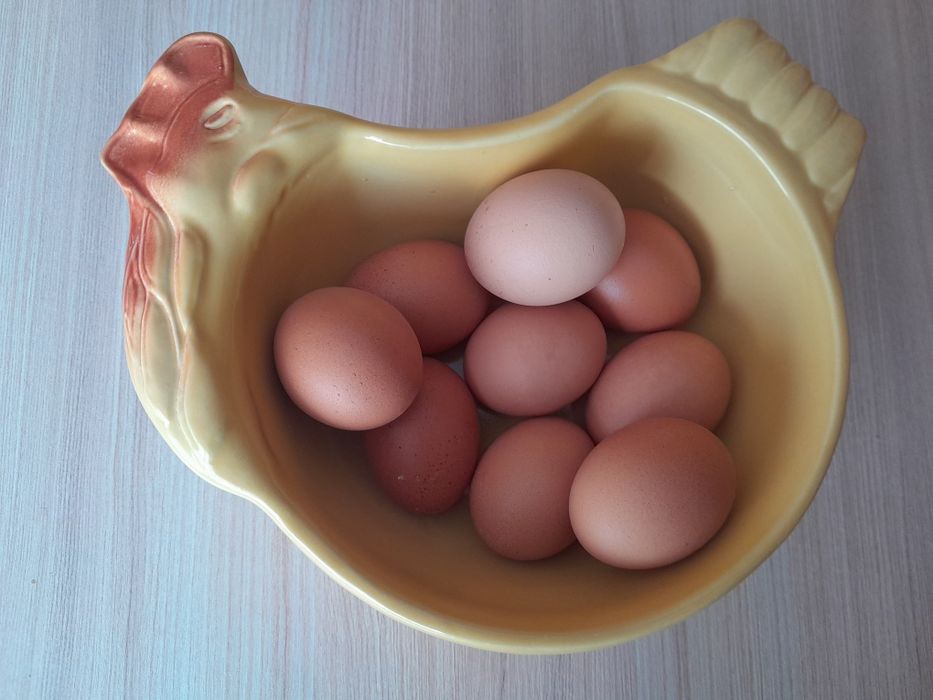 Miska ceramiczna w kształcie kury np. na jajka
