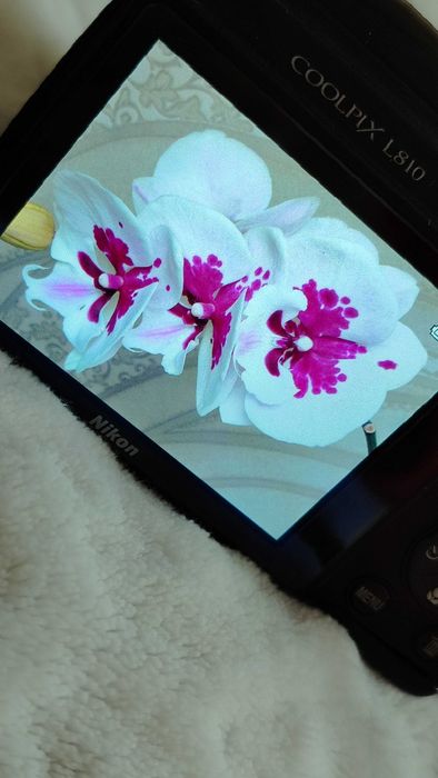 Фотоапарат Nikon Coolpix L810