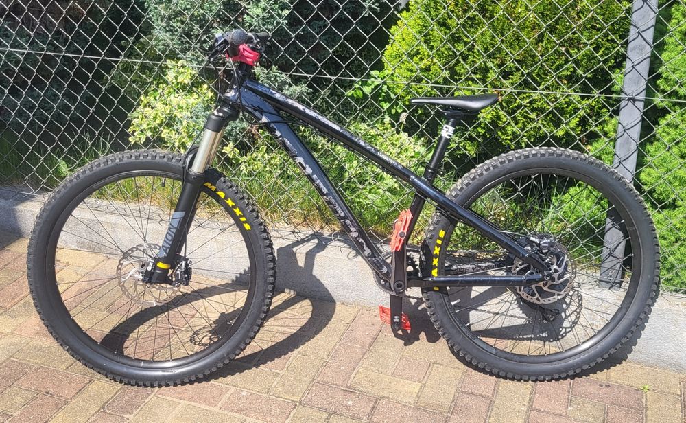 Dartmoor hornet 26