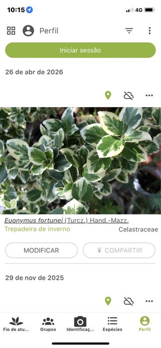Trepadeira de inverno