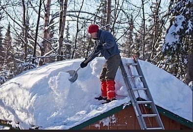 Професійний догляд за садом та територією | Швидко та якісно