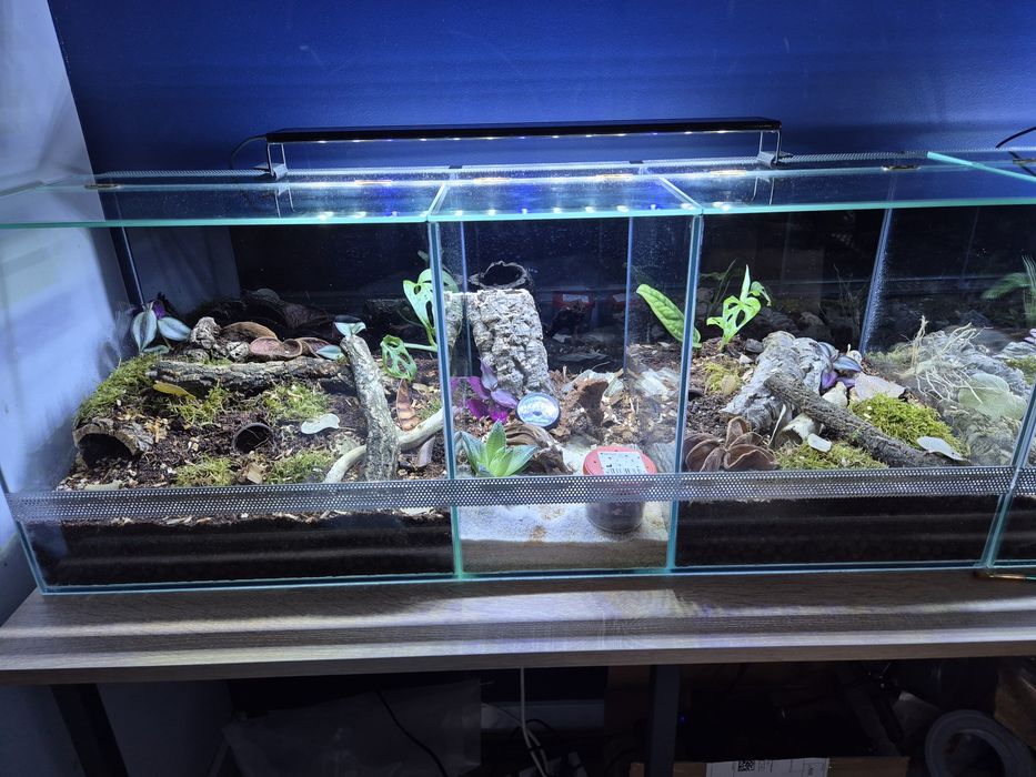 Terrarium 90x30x35h (3w1) Skolopendra Skorpion