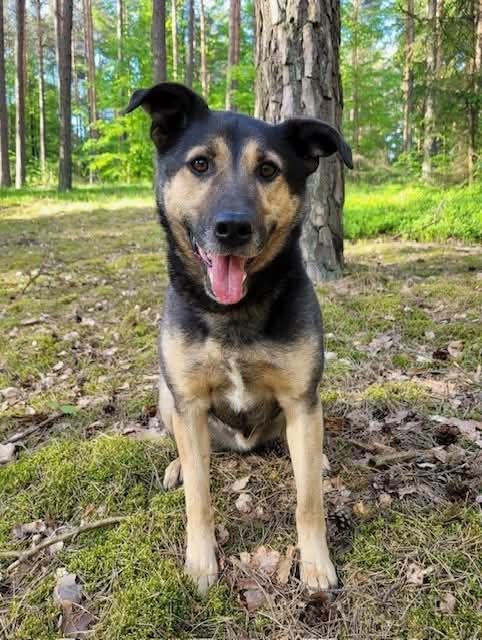 Lemo - Niewidzialny od lat