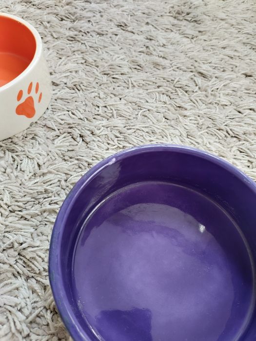 Miski porcelanowe dla psa pupila ogłoszenie aktualne