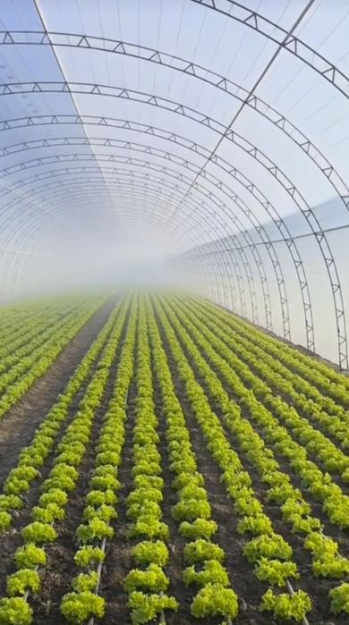 Тепличная пленка, Плівка теплична 150 мік SOTRAFA 12,14,16м ширена