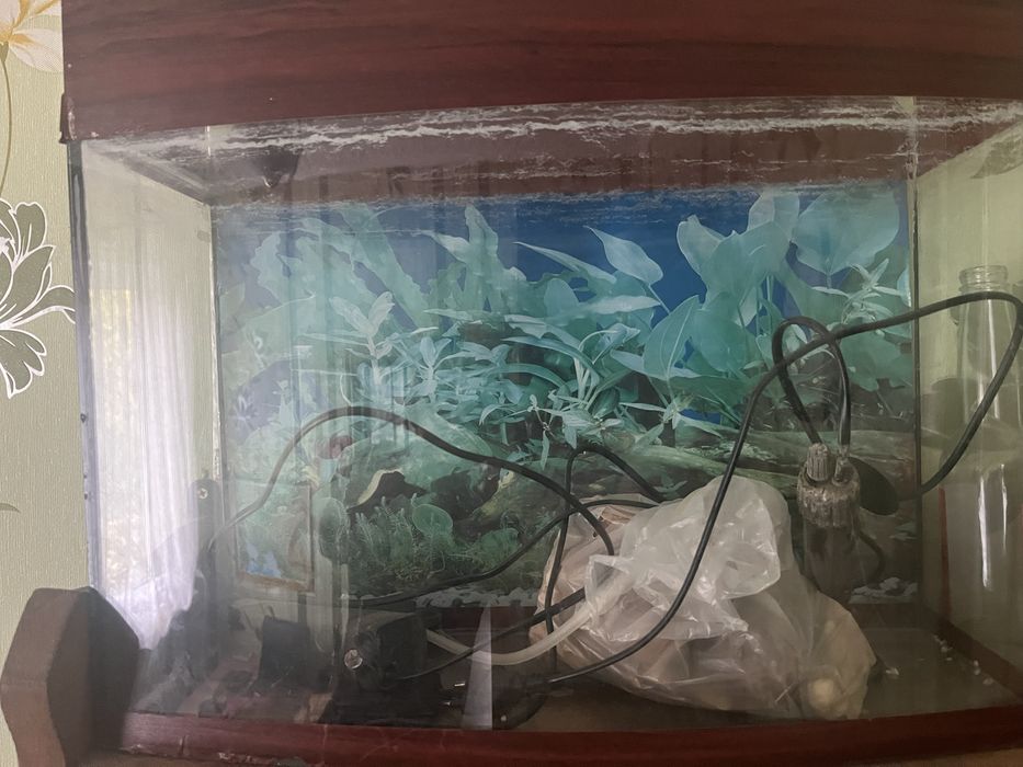 продам акваріум з усім