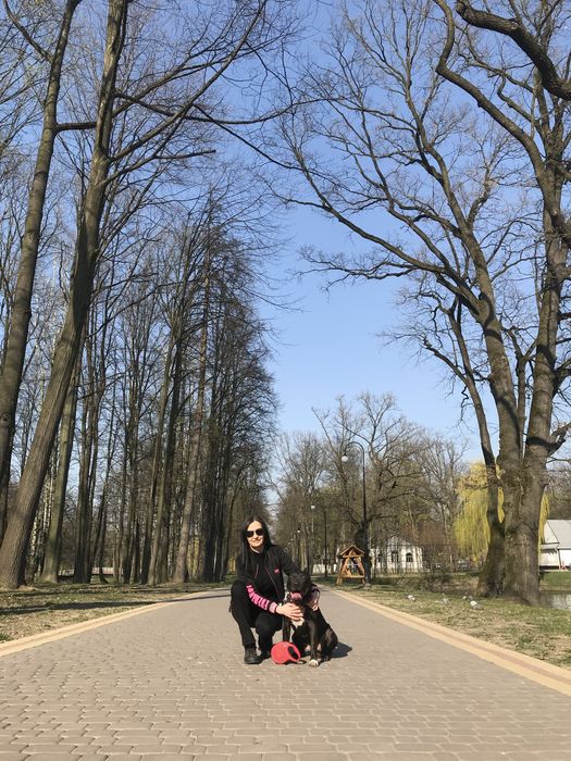 Вигул собак в Івано-Франківську, домашня перетримка, зоотаксі