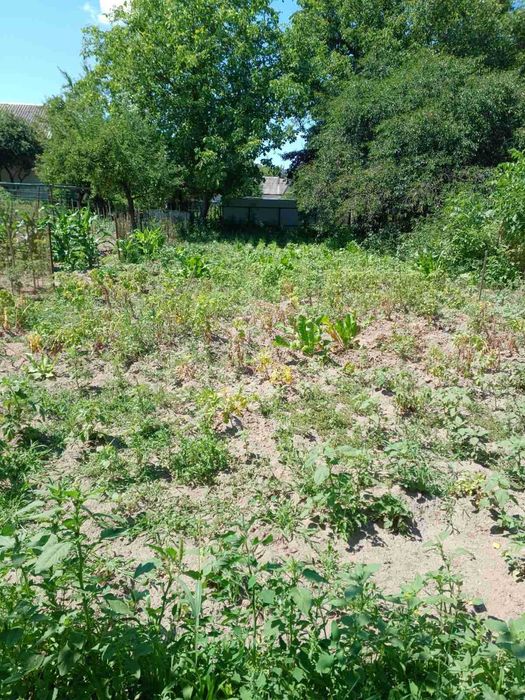 Продаж половини будинку с. Зарічани