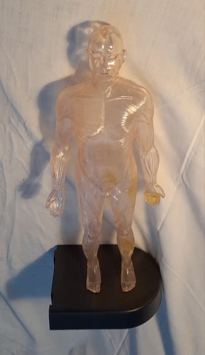 Homem de Plástico, figura com 41cm altura.