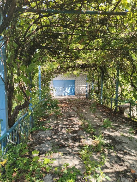 Терміново! Продаж будинку с. Виводове 231  кв.м   30 сот з комуникаціями, сауна, гараж