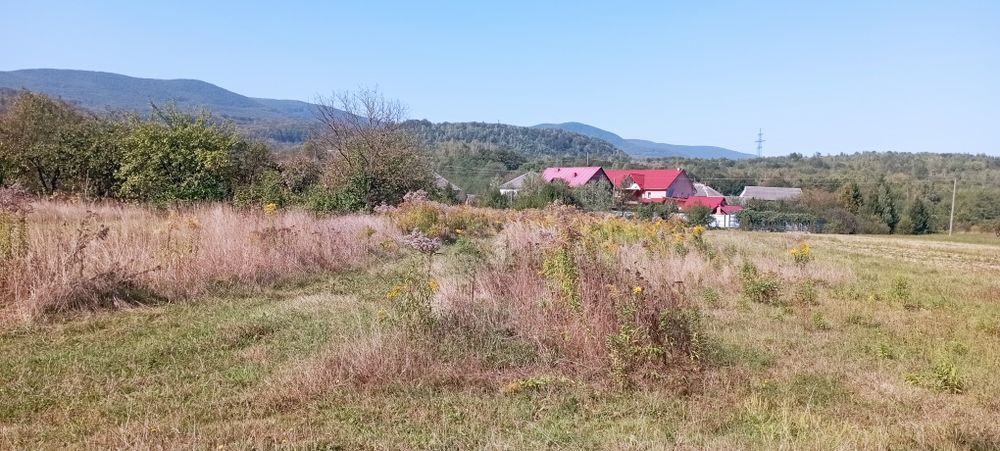 Продам земельну ділянку Голубине Закарпатської