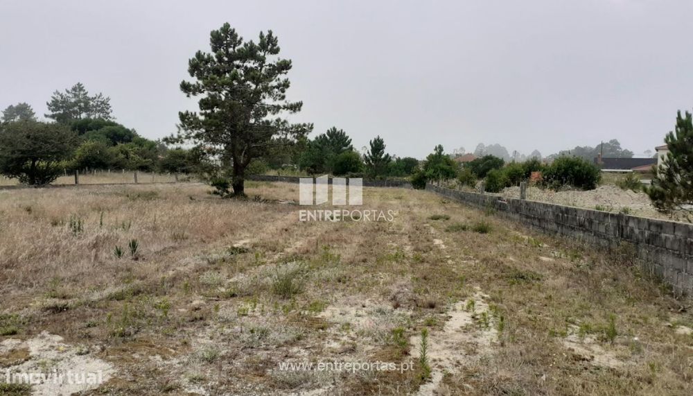 Venda de Terreno com 4.500m², Chafé, Viana do Castelo